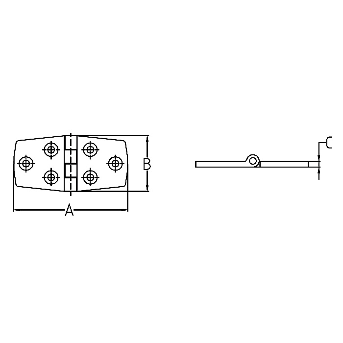 Stainless Steel Door Hinges