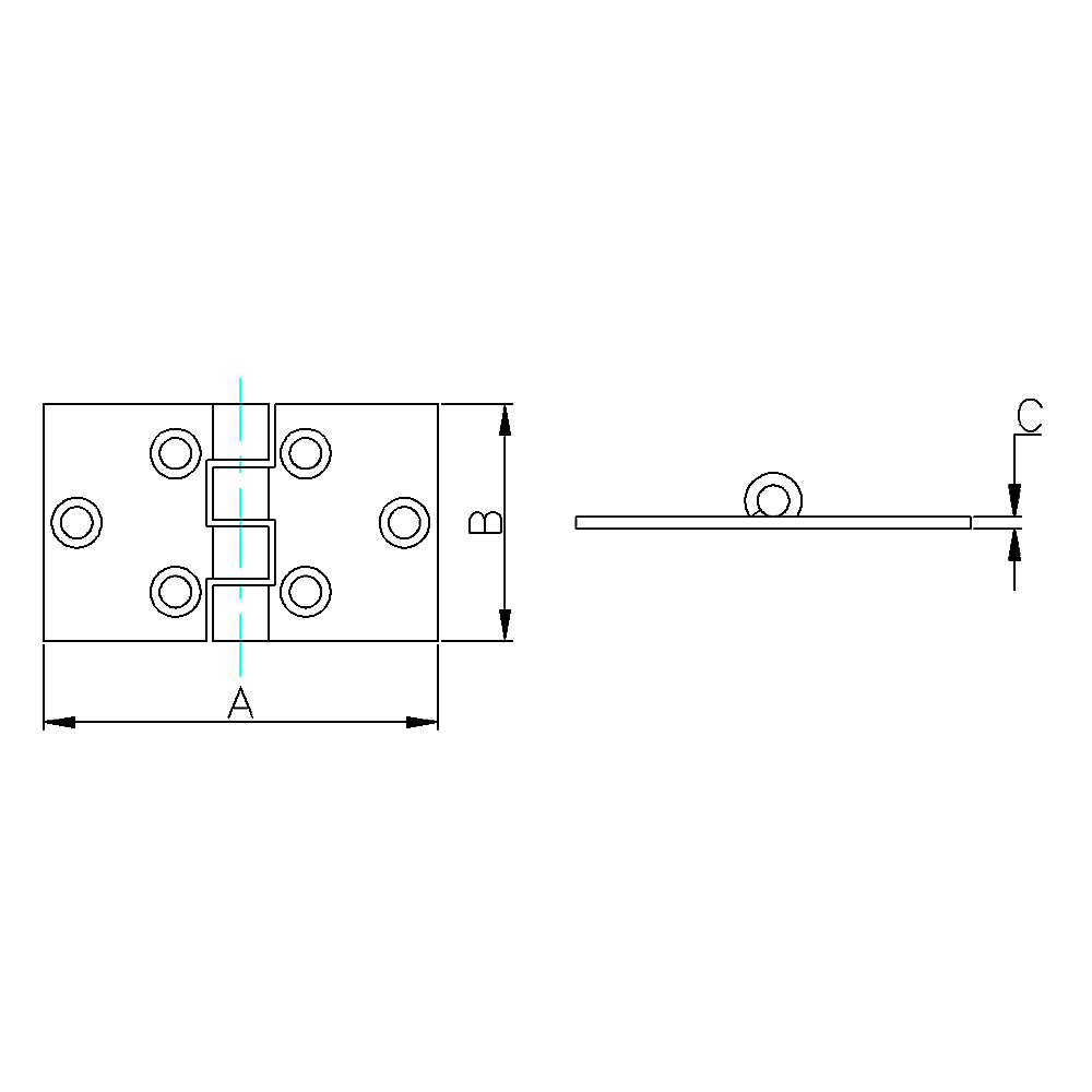 Stainless Hinge, 2.5
