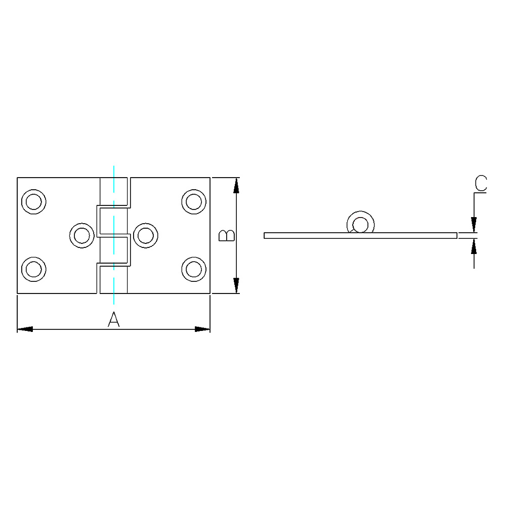 Stainless Hinge, 2.5