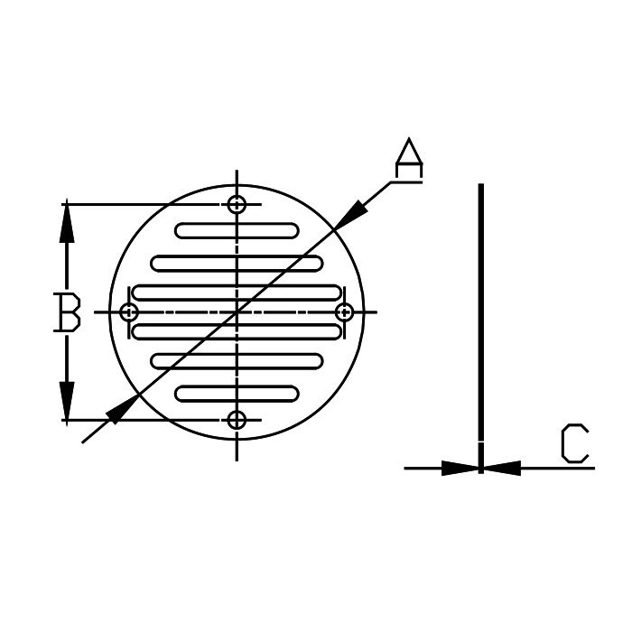 Stainless Drain Cover