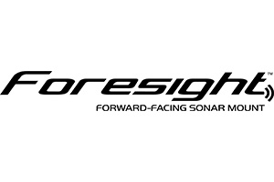 Foresight