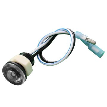 Innovative Lighting Blue/White Bi-Color Domed Bulkhead Light w/2 Wires - .156&quot; Bullets