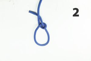 Bowline Knot