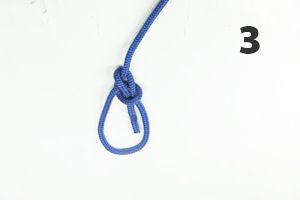 Bowline Knot