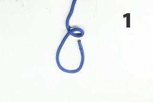 Bowline Knot
